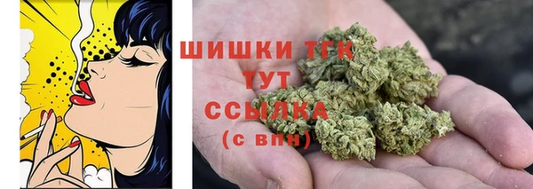 хмурый Белокуриха
