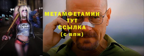 хмурый Белокуриха