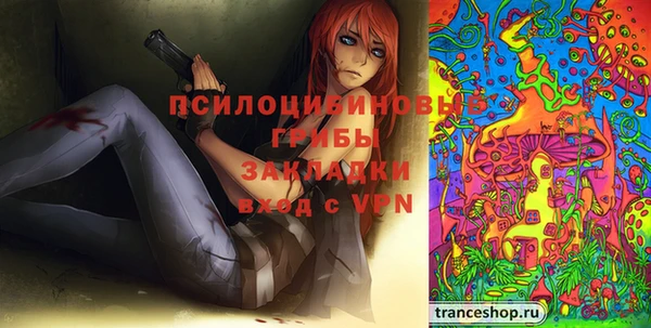 хмурый Белокуриха