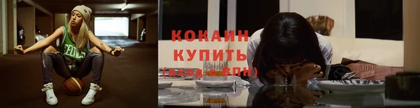 хмурый Белокуриха