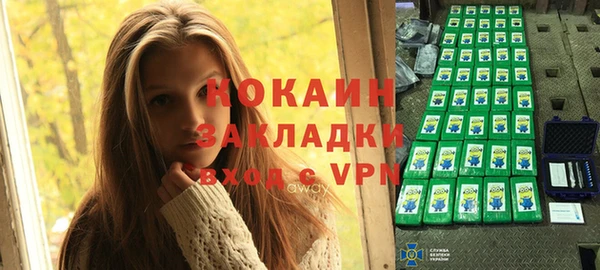 хмурый Белокуриха